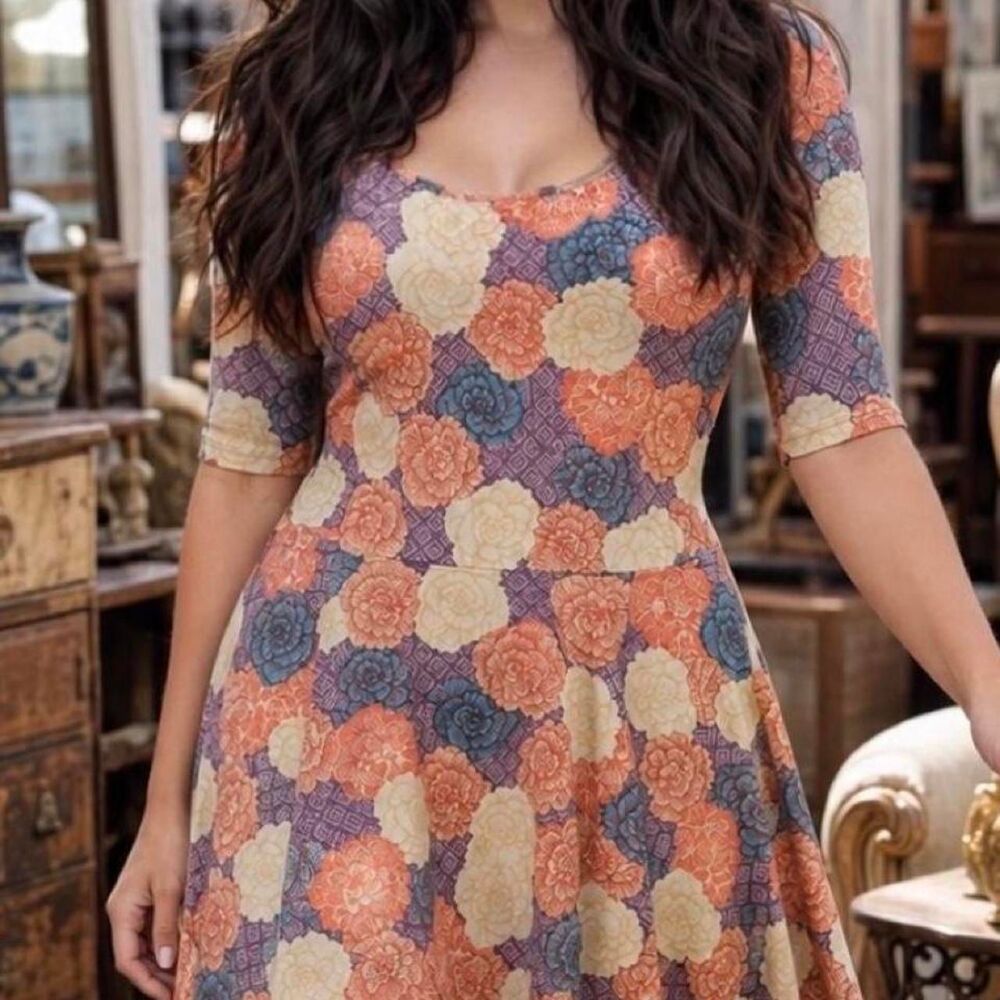 Lularoe Women's multi Dress